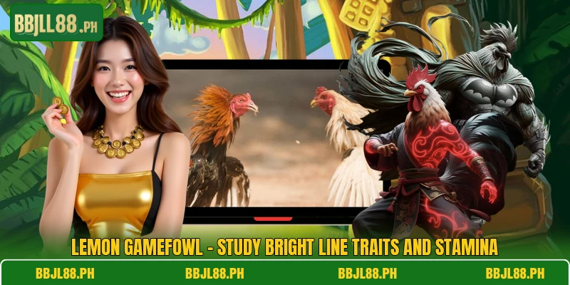 Lemon Gamefowl - Study Bright Line Traits And Stamina