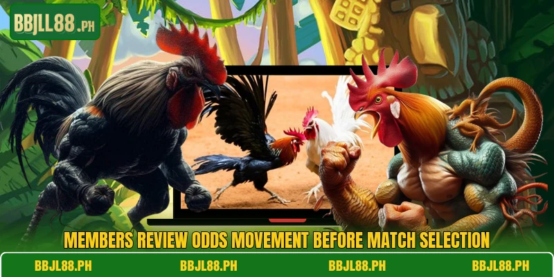 Members review odds movement before match selection