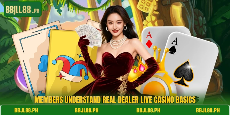Members understand real dealer live casino basics
