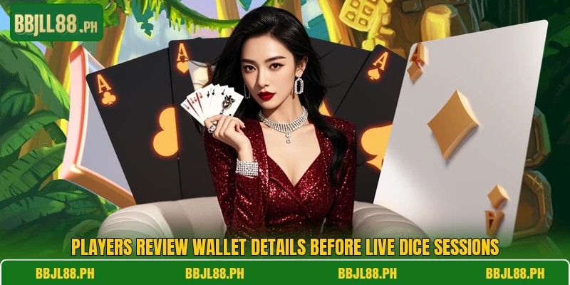 Players review wallet details before live dice sessions