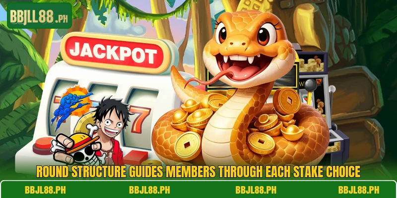 Round structure guides members through each stake choice