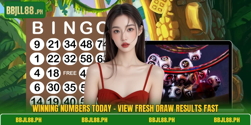 Winning Numbers Today - View Fresh Draw Results Fast